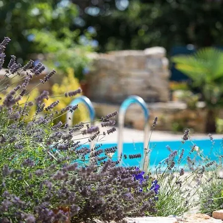 Palera Ii With Private Pool Ližnjan